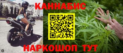 трава Новозыбков